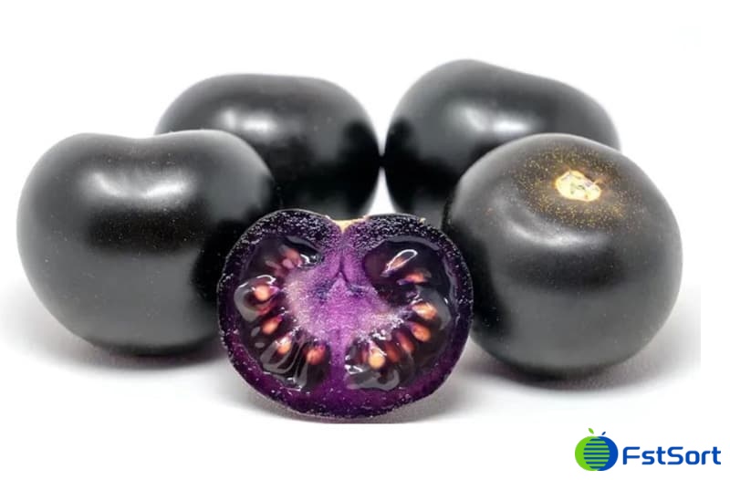 images/1751532369270tomato processing.jpg